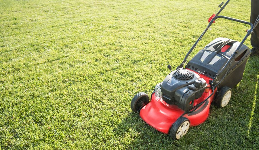 What Red Flags Help You Identify Lawn Mower Brands to Avoid