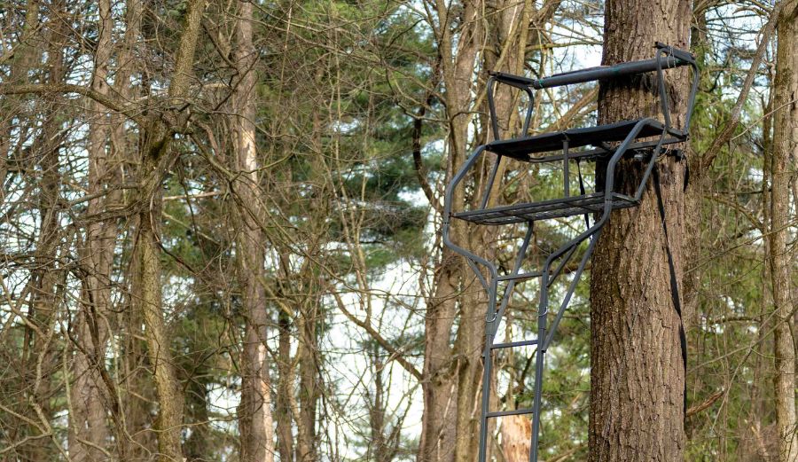 The Best Ladder Stand for Big Guys