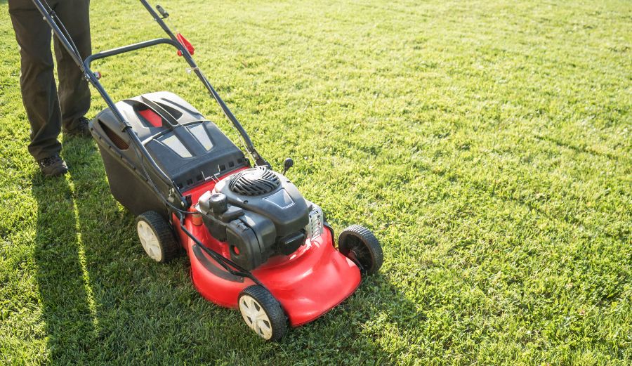 Professional Help in Using Lawn mower